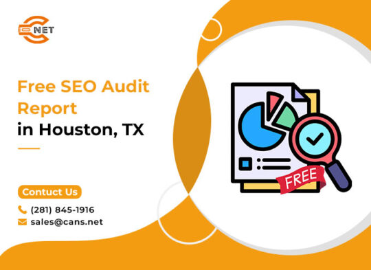 Free SEO Audit Report Houston Texas | SEO Expert | Get Your Website Audit